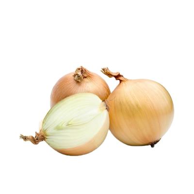 China Small size fresh yellow onion cheap price fresh vegetable hot sale for sale