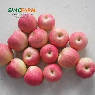 China New Top Fresh Delicious Fresh Red Apple With Good Apple Taste From China for sale