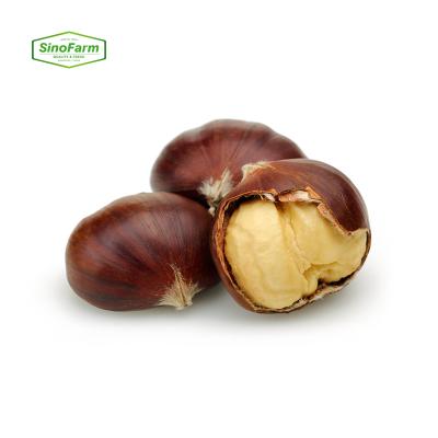 China High Quality Fresh Dry Roasted Chestnut Price Per Kg For Sale From Chinese Chestnuts Factory for sale