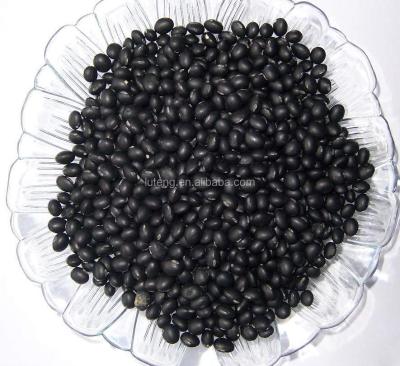 China Small Black Bean Ro Brazil Dry Market for sale