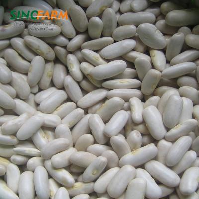 China White Kidney Bean Dry Wholesale Price for sale