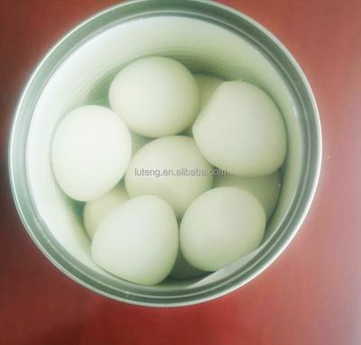 China boiled cooked quail eggs for sale for quail egg importer for sale