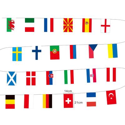 China Strong Cheap Stock Polyester Health Care Institutes 24 String Cup Bunting Flag for sale