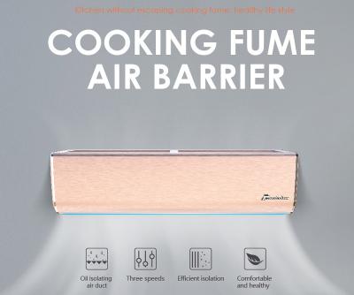 China 2025 Air Barrier For Household Kitchen Door Separate The Cooking Fume Size From 0.7m To 2m Home Air Curtain for sale