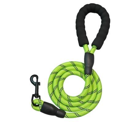 China Personalized Thoughtful Strong Nylon Rope Dog Traction Rope Braided Climbing Rope Dog Lead Leash for sale