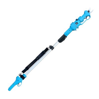 China Anti-Slip Extendable Electric Pole Shears Power Handle Pole Pruner Telescopic Branch Trimmer for sale