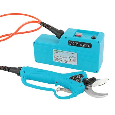 China Professional Electric Anti-Slip Handle Shear Pole Shears Branch Trimmer Pole for sale