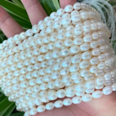 China Jewelry making French necklace set wholesale near retro natural round pearl bead necklace clam bulk volume for sale