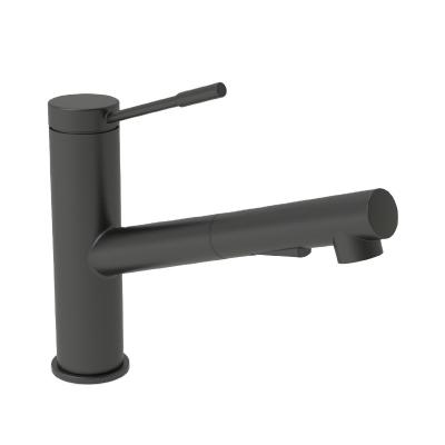 China Matte Black Single Control Modern Pull-Down Kitchen Faucet for sale