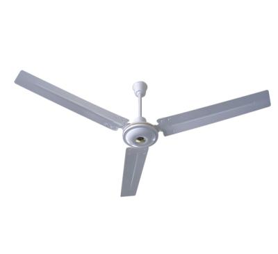 China Hotel Hot Sale 3 Speeds AC Electric Fan Ceiling Fan for sale