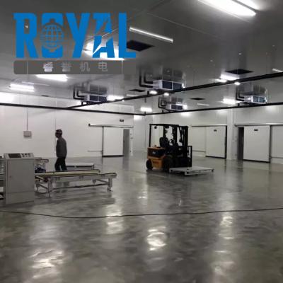 China Building Material Shops Royal Factory Hot Sale Storage Cold Storage Room For Meat ISO ,CE Approved for sale