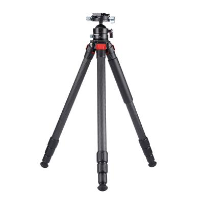 China Wholesale PORTABLE Professional Portable Tripod Travel Lightweight Carbon Fiber Tripod With Ball Head For Camera Dslr for sale