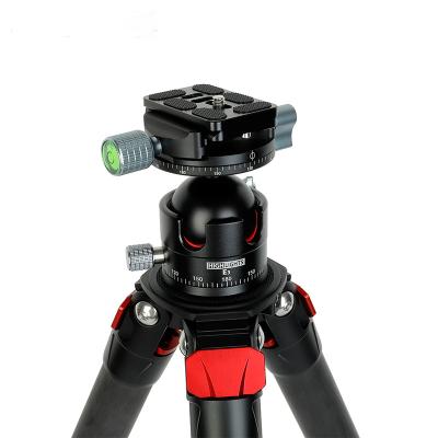 China Double Ball Aluminum Filter Heads With Adjustable High Quality Professional Camera Photography Tripod Heads for sale