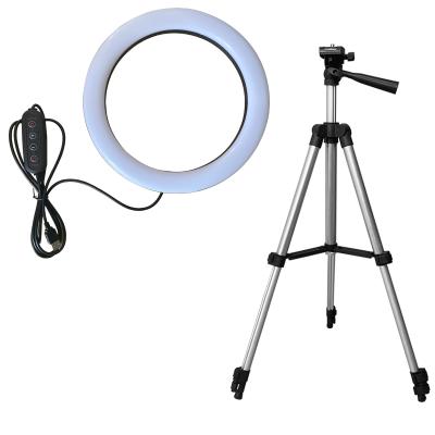 China Mini Beauty Make Up Photographic Filling Lighting Tripod Stand 10Inch LED Ring Light for sale