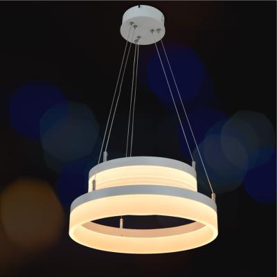 China Home/Hotel/Mall/House Dining Room Art Deco Lighting Fixtures Led Circle Ring Light for sale