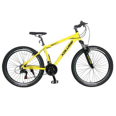 China Moutain Bike 2019 New BXT 29er 1*12Speed ​​Carbon Mountain Bike Complete Bicycle 29inch MTB 142*12/148*12mm for sale