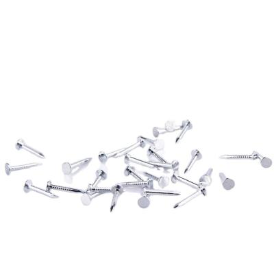 China Flat Concrete Nails White Steel Galvanized Concrete Nails Concrete Nails for sale