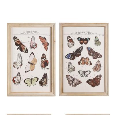 China Wooden Picture Frame Waterproof Picture Wall Decoration Home Plant Frame Toys for sale