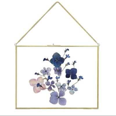 China Minimalist XIAOAIKA 11x14 inch pressed flowers glass picture frame horizontal gold clasp frame brass double glass wall hanging for sale