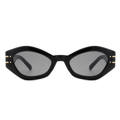 China Custom PC Sunglasses Vintage Sunglasses Fashion Trend Square Round Unique Small Frame Sun Glasses Men Women Sunglasses for sale