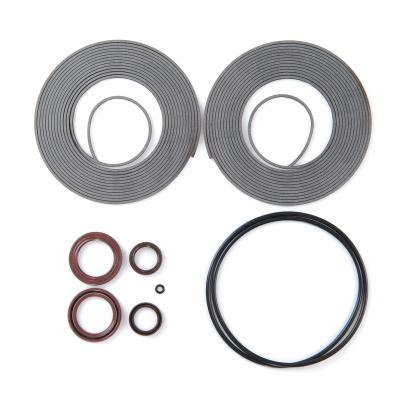 China High Efficiency Sealing Tip Seal Kit GWTSK600 For Scroll Vacuum Pump for sale