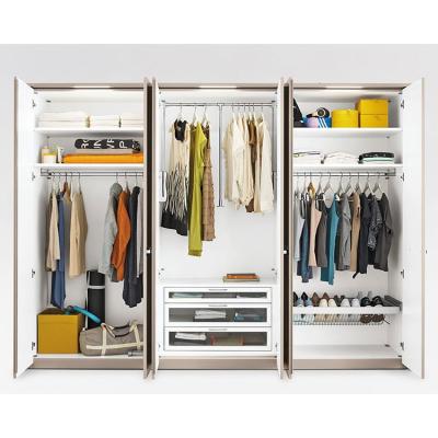 China Adjustable (Height) Customize Walk In Custom Materials Portable Adjustable Assembly In Cabinet Boutiquesr for sale