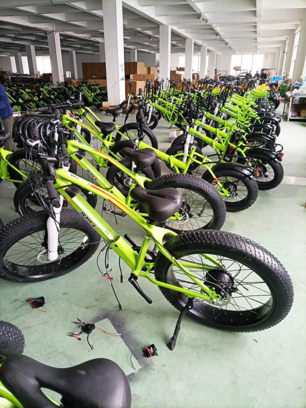 Proveedor verificado de China - Hebei Fanghao Bicycle Co., Ltd.