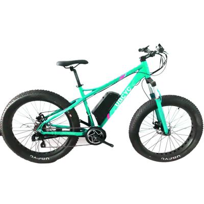 中国 Steel 26*4.0 750W/1000W Fat Tire Big Tire Electric Mountain E Bike/Snow Bike/Electric Bicycle With CE 販売のため