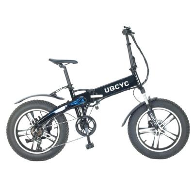 China New Design 750W 14.5 OH Fat Tire Steel Electric Bike Full Suspension Mountain Fat Bike for sale