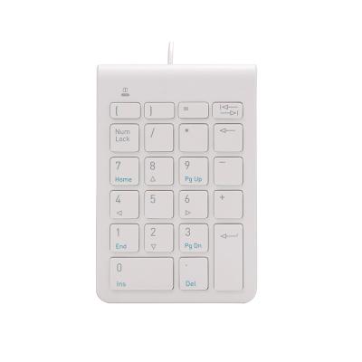 China 2.4g Wireless Numeric Keypad Number 22 Ultra Thin Small Size Protective Keyboard Numeric Keypad With Nano Receiver For Laptop PC for sale