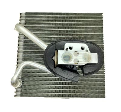 China Auto Air Vaporizer For VW Tiguan/Touan/Skoda Mingrui Auto Air Conditioning Parts 1KD820103 1000 for sale