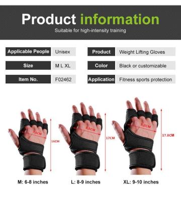 China Unisex Weightlifting Workout Gloves with Built-in Wrist Wraps for Men and Women Great for Gym Fitness Cross Training Hand Support for sale