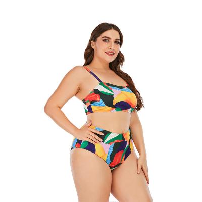 China Plus Size Custom Design Bikini Plus Size Print Swimwear 2022 News Fat Women Swimsuit Colorful Private Label Ladies Sexy Bikini for sale