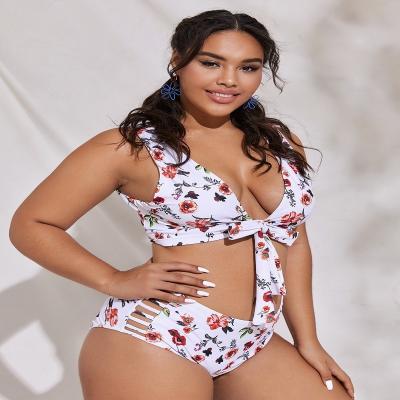 China 2022 Plus Size Swimwear OEM Factory Bath Women's Plus Size Swimsuit Wholesale New Bow Tie Floral Print Eco-Friendly Swimwear Plus Size for sale