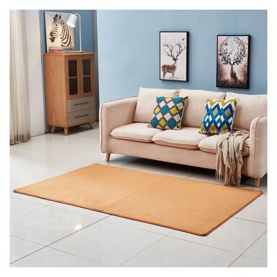 China Modern Orange Polyester Micro Fiber Stock Shaggy Area Rug for sale