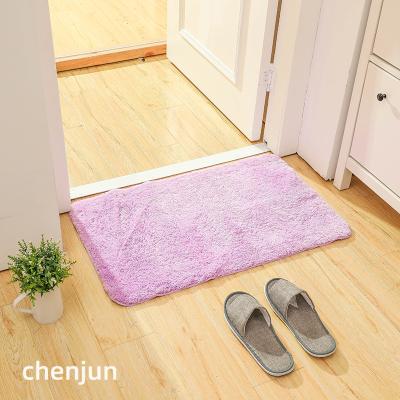 China Best Washable Porcelain Empty Door Mat Estera Shaggy Multiple Sizes Door Mats Wholesale for sale