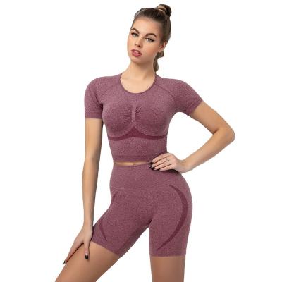 China Breathable Yoga Wear Sportswear Set 100% Proof Rib Knit Gym Fitness Womens Overalls Yoga Shorts And Squat Bra Set for sale