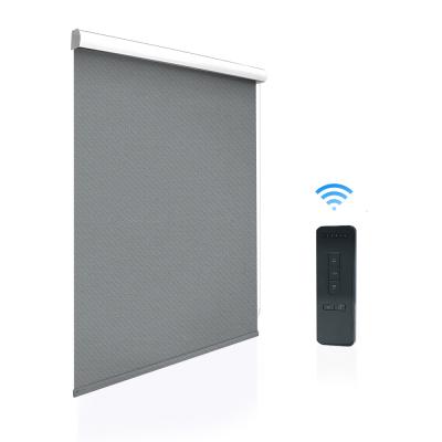 China High Quality Waterproof Indoor Remote Control Motorized Roller Shades for Home for sale