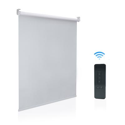 China Gray More Than 95% Blackout Fabric Wireless Canvas Light Roller Shades Waterproof New Style Sunscreen Window Shade Iron for sale