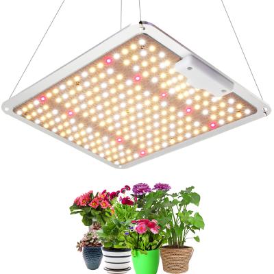 China Seed Starting Lighting Quantum Plate LED Grow Light Industrial Veg And Flower Samsun LM301B Diodes Lights for sale