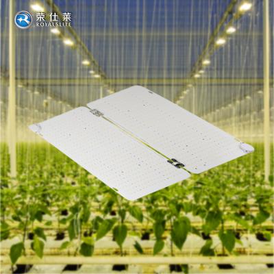 China Seed Starting 2021 Best Commercial PPFD Value 110w 240w 450w 600w Quantum Flat Top Led Grow Lights for sale