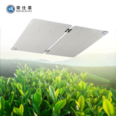 China Seed Starting 2021 Best Led Commercial For Growing Lights LM301B 110Watt 3000K Quantum Plate Led Light Growing Factory for sale