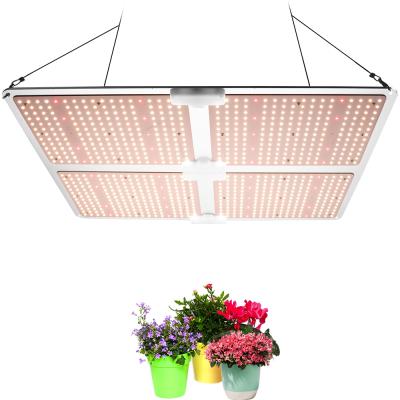 China Seed Starting 2021 New 110W 220W Grow Lamp Quantum Plate Grow Light LED Factory For USA Market for sale