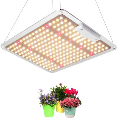 China Seed Starting Led Panel Grow Lights Dimmable Led Growing Light High Efficiency Quantum Light Plate Plant Growing Light for sale