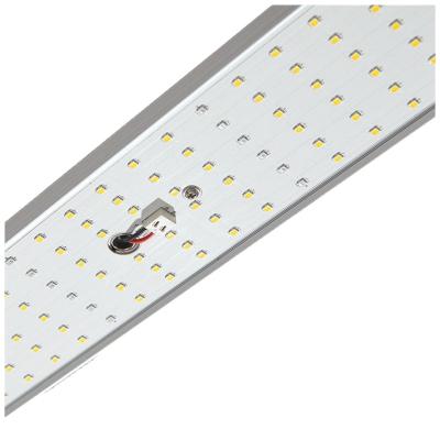 China Seed Starting 2021 Newest Herbal Growing Light Led High PPF Grow Light Bar Led 600W for sale