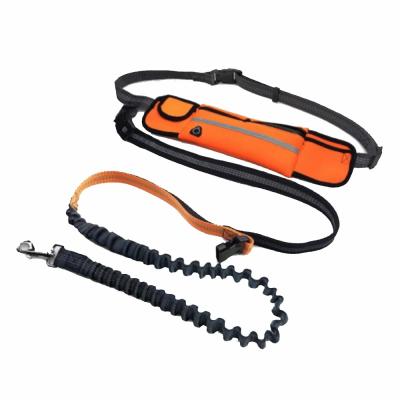 China Sustainable Hands Free Dog Leash Working Pockets Pet Training Retractable Dog Leash for sale