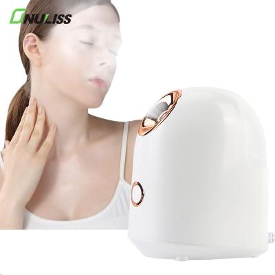 China DEEP CLEANING In Stock Professional Electric Nano Facial Steamer Home Use Cheap Facial Skin Care Portable Face Steamer for sale