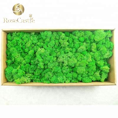 China Wholesale Pure High Quality 500g Preserved Natural Touch Real Foam for sale