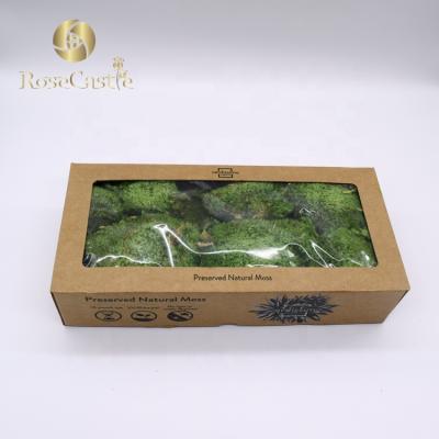 China Best Natural Wholesale Import Pole Touch Roll Lichen Preserved Moss for sale