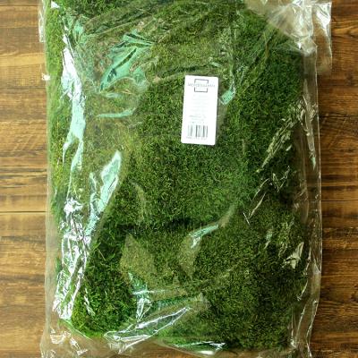 China Best Wholesale Import Natural Contact Lichen Preserved Dermoid Shale Moss In Bags for sale